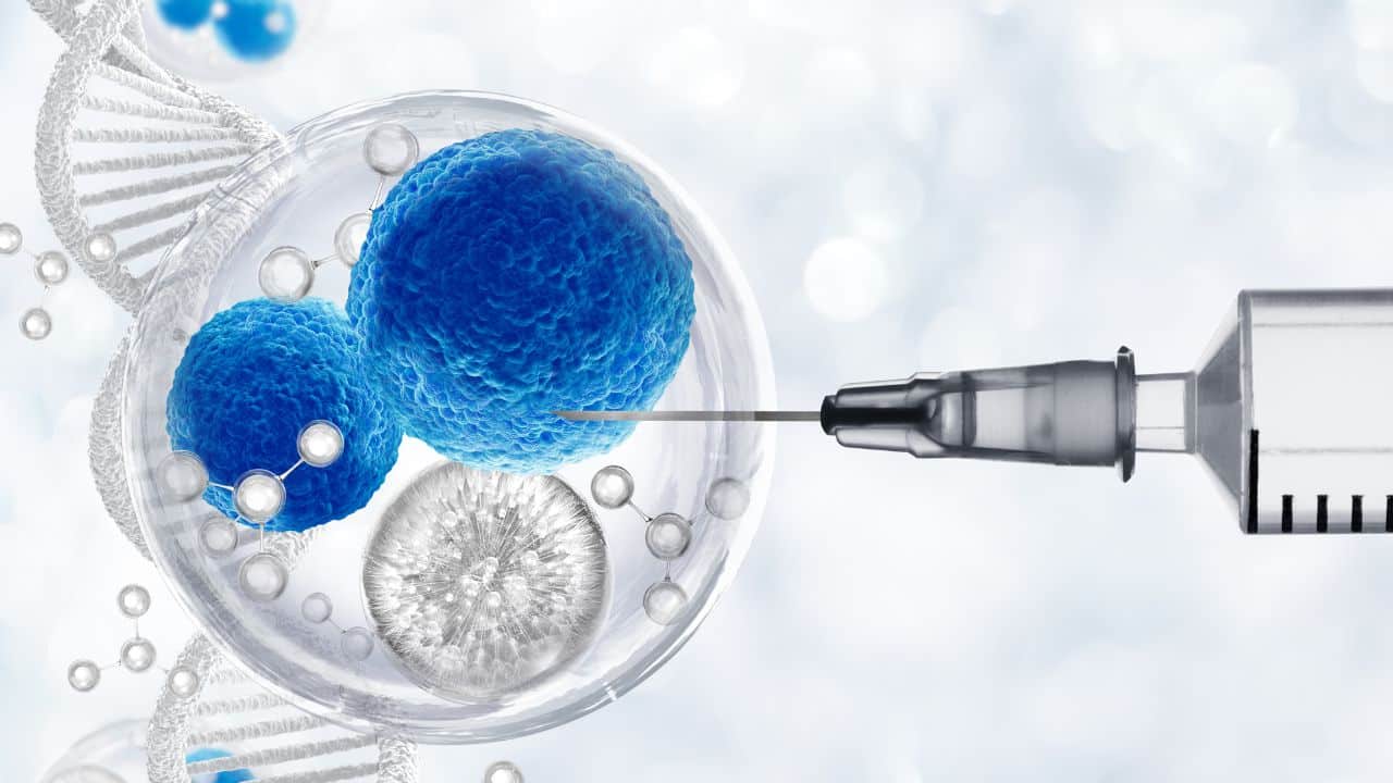 Stem Cell Therapy