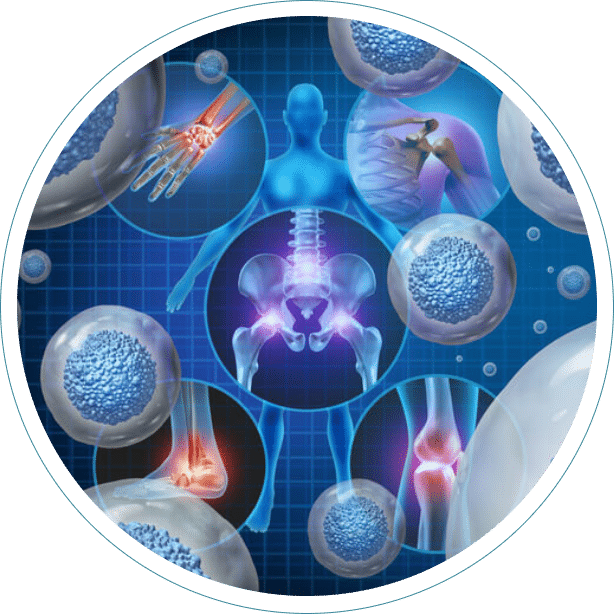 Stem Cell Therapy Los Angeles|Home 20 Dec 2024